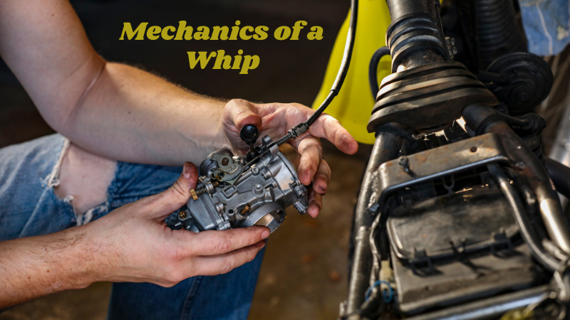 Mechanics of a Whip